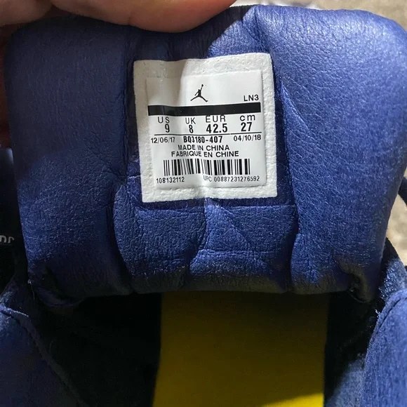 Air Jordan 12 Retro Michigan NRG
